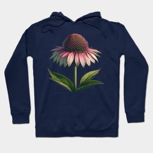 Echinacea Elegance Botanical Illustration Hoodie